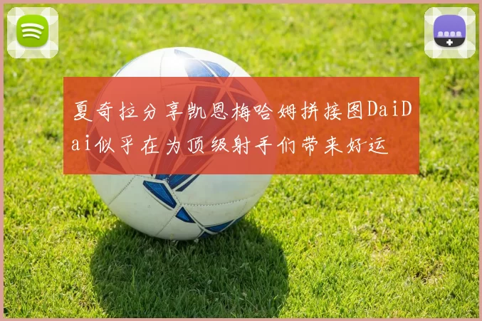 夏奇拉分享凯恩梅哈姆拼接图DaiDai似乎在为顶级射手们带来好运