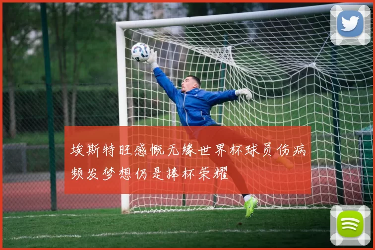埃斯特旺感慨无缘世界杯球员伤病频发梦想仍是捧杯荣耀
